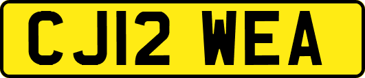 CJ12WEA
