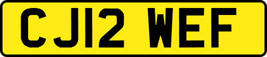 CJ12WEF