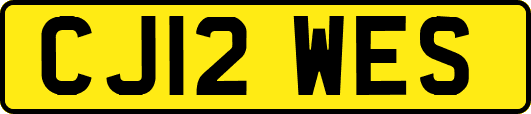 CJ12WES