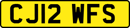 CJ12WFS