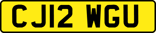 CJ12WGU