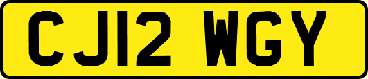 CJ12WGY
