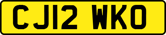 CJ12WKO