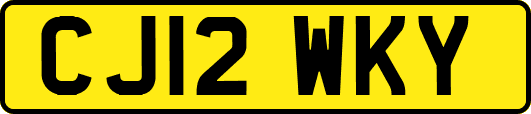 CJ12WKY