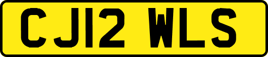 CJ12WLS