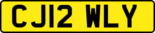 CJ12WLY