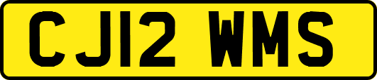 CJ12WMS