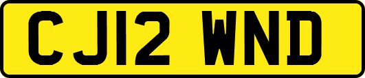 CJ12WND
