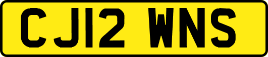 CJ12WNS