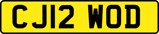 CJ12WOD