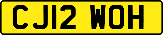 CJ12WOH
