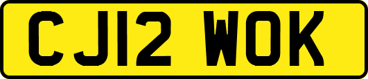 CJ12WOK