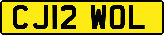 CJ12WOL