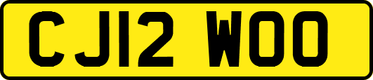 CJ12WOO