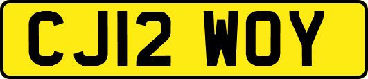 CJ12WOY