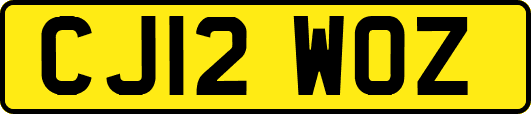 CJ12WOZ