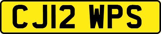 CJ12WPS