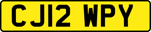 CJ12WPY