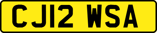 CJ12WSA