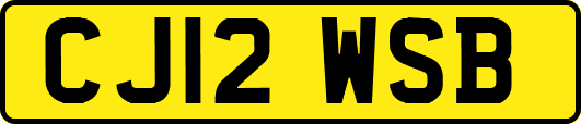 CJ12WSB