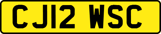 CJ12WSC
