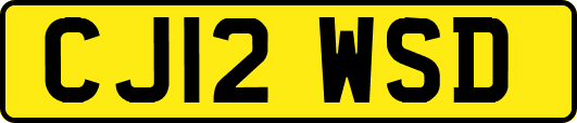 CJ12WSD