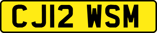 CJ12WSM