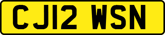 CJ12WSN