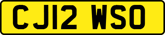 CJ12WSO