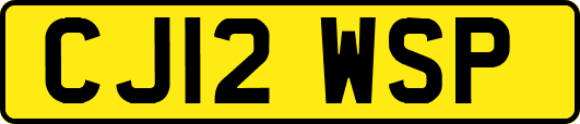 CJ12WSP