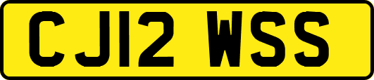 CJ12WSS