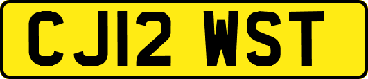 CJ12WST