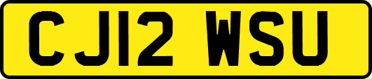 CJ12WSU