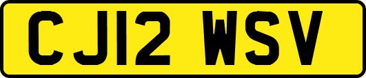 CJ12WSV