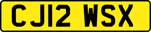 CJ12WSX