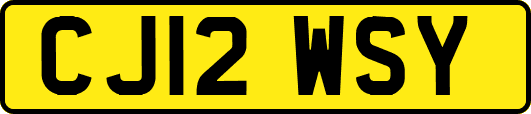 CJ12WSY