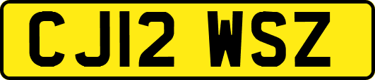 CJ12WSZ