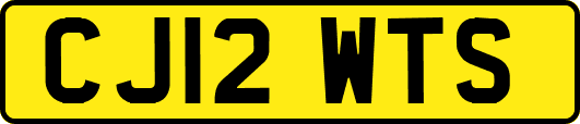 CJ12WTS