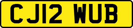 CJ12WUB
