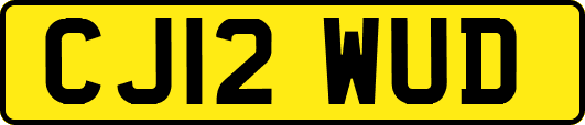 CJ12WUD