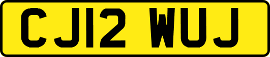 CJ12WUJ