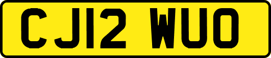 CJ12WUO