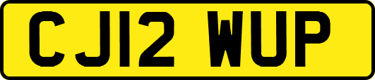 CJ12WUP