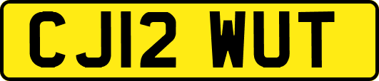 CJ12WUT