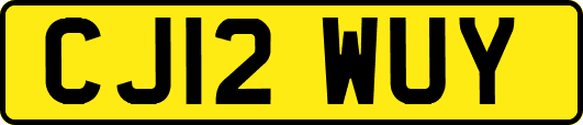 CJ12WUY