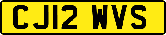 CJ12WVS