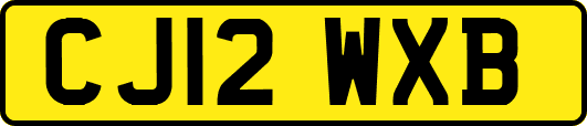 CJ12WXB