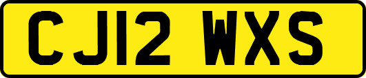 CJ12WXS