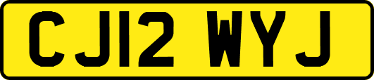 CJ12WYJ