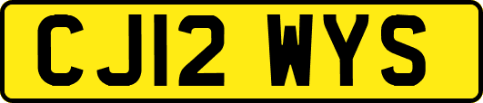 CJ12WYS
